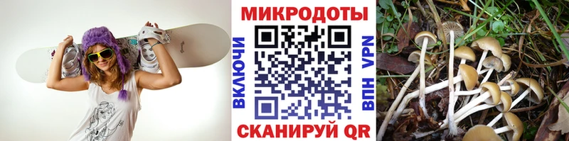 Галлюциногенные грибы MAGIC MUSHROOMS  цена   Чехов 